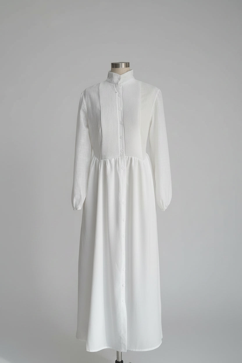 Chiffon French Style Long Sleeve Pleated A-Line Maxi Dress